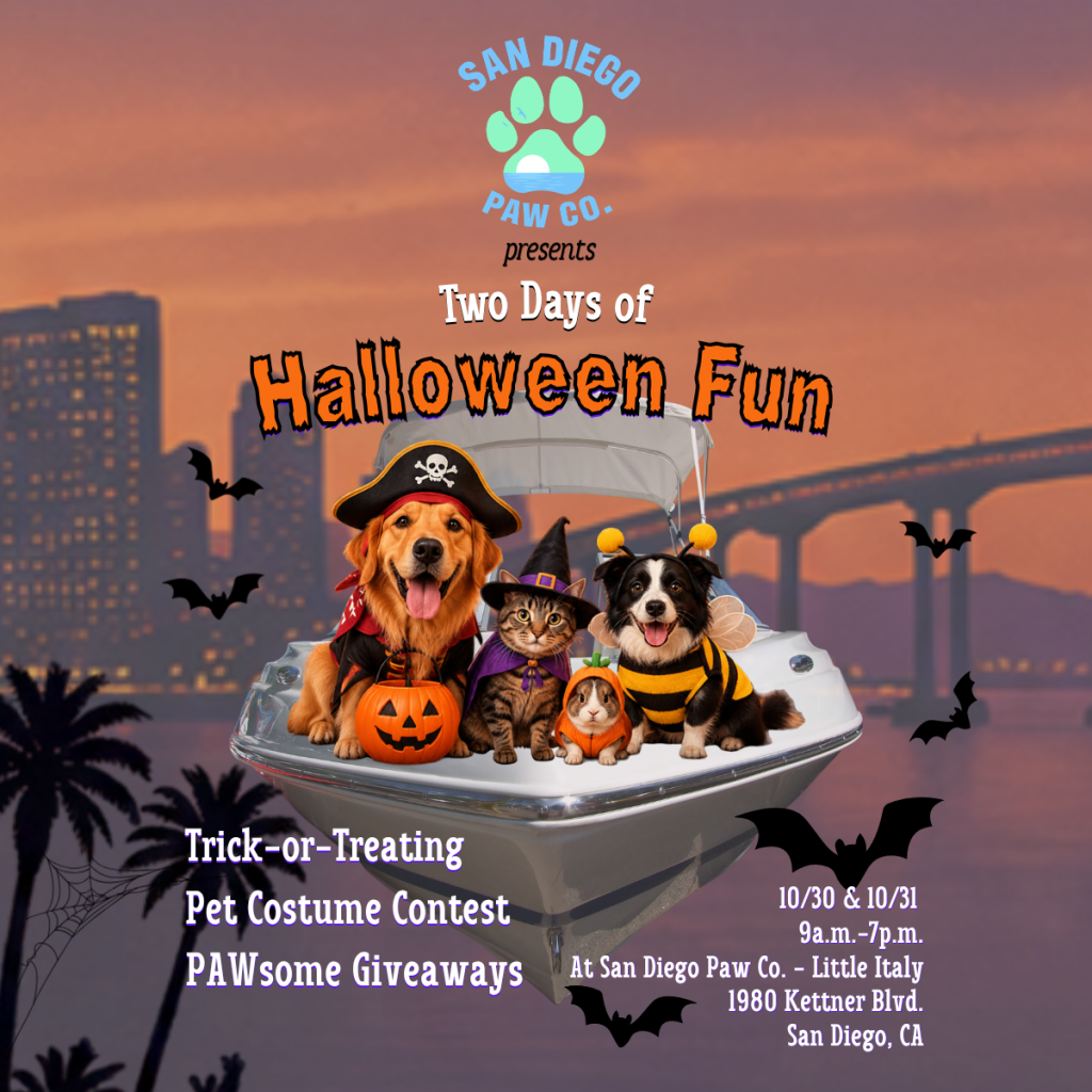San Diego Paw Co. Halloween Event San Diego Paw Co. Halloween event flyer featuring dogs, a cat, and a rabbit in festive costumes against a San Diego sunset. Join us October 30–31, from 9 a.m. to 7 p.m., at 1980 Kettner Blvd. in Little Italy for pet trick-or-treating, a costume contest, and PAWsome giveaways.
